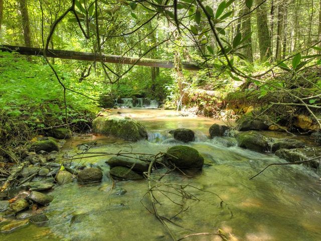 1048 Laurel Trail, Ellijay, GA 30536