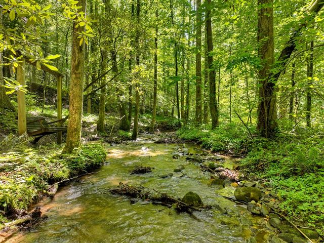 1048 Laurel Trail, Ellijay, GA 30536