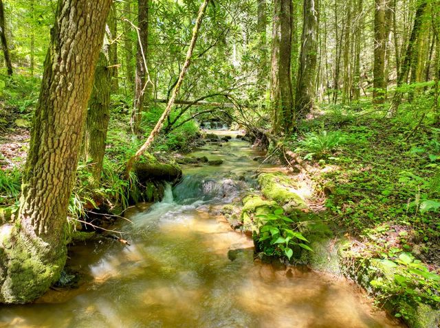 1048 Laurel Trail, Ellijay, GA 30536