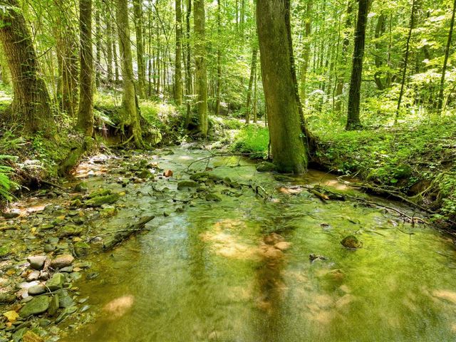 1048 Laurel Trail, Ellijay, GA 30536