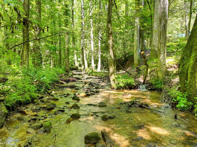 1048 Laurel Trail, Ellijay, GA 30536