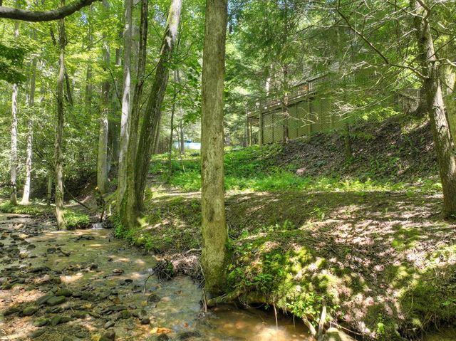 1048 Laurel Trail, Ellijay, GA 30536