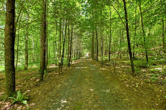 1048 Laurel Trail, Ellijay, GA 30536