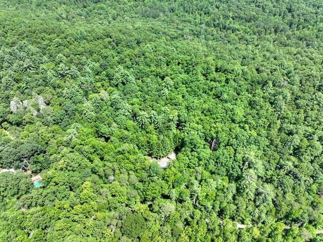 1048 Laurel Trail, Ellijay, GA 30536