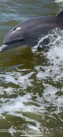 700 Milford Point Drive, Merritt Island, FL 32952