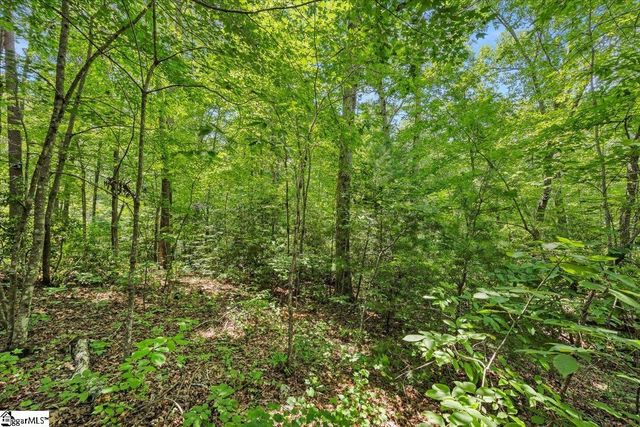 14 Alsace Way, Travelers Rest, SC 29690