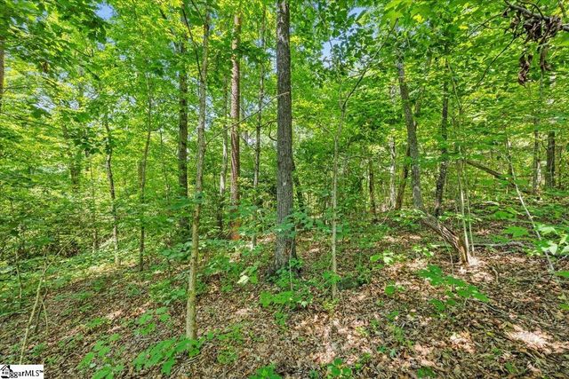 14 Alsace Way, Travelers Rest, SC 29690