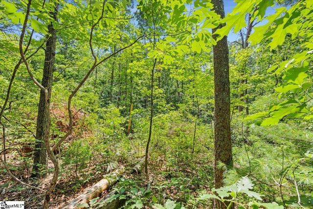 14 Alsace Way, Travelers Rest, SC 29690