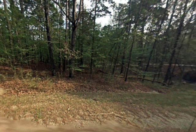 58 S Pine Harbour Drive, Coldspring, TX 77331