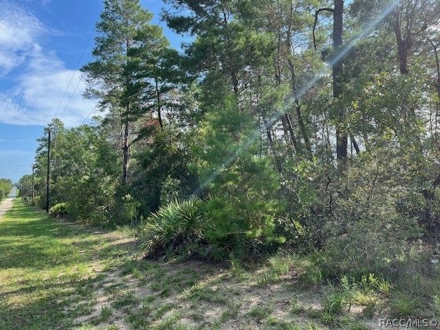7325 N Fairport Avenue, Dunnellon, FL 34433