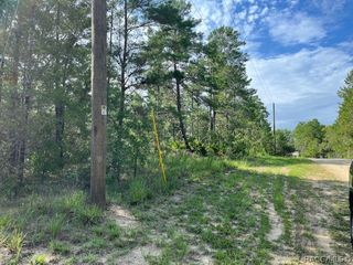 7325 N Fairport Avenue, Dunnellon, FL 34433