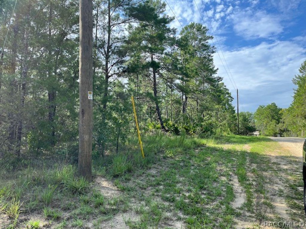 7325 N Fairport Avenue, Dunnellon, FL 34433