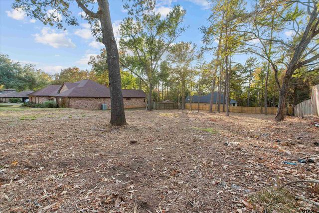 16058 Chris Lane, Tyler, TX 75703