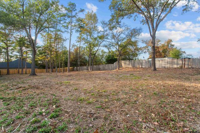 16058 Chris Lane, Tyler, TX 75703