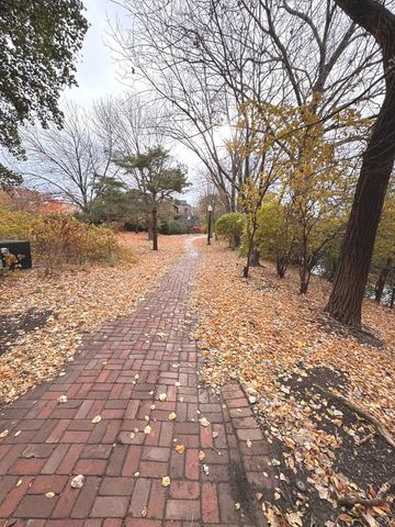 3329 S Racine Avenue, Chicago, IL 60608