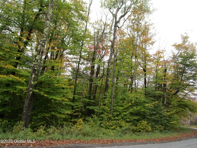 L11 Peraglie Road, Jefferson, NY 12093