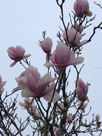 7011 SW 170 STREET, Archer, FL 32618