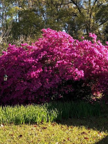 7011 SW 170 STREET, Archer, FL 32618