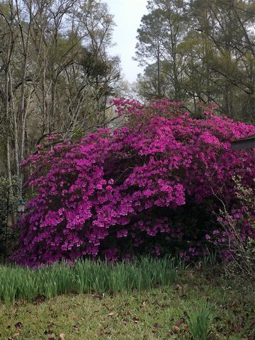 7011 SW 170 STREET, Archer, FL 32618