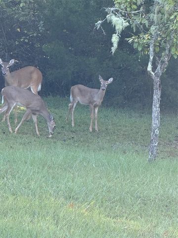 7011 SW 170 STREET, Archer, FL 32618