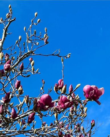 113 Washburn Avenue, Santa Cruz, CA 95060