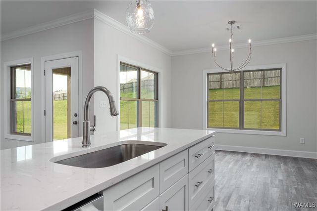 13761 Blackoak, Northport, AL 35475