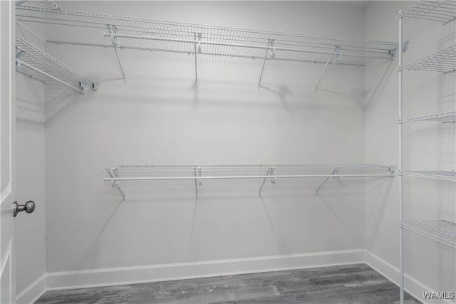 13761 Blackoak, Northport, AL 35475