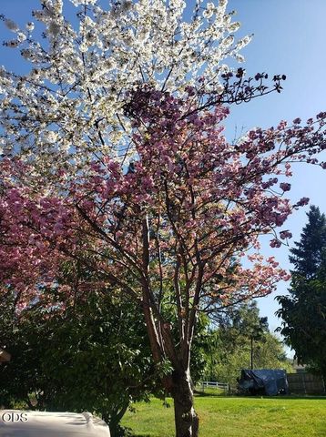 1403 Highcrest Drive, Medford, OR 97504