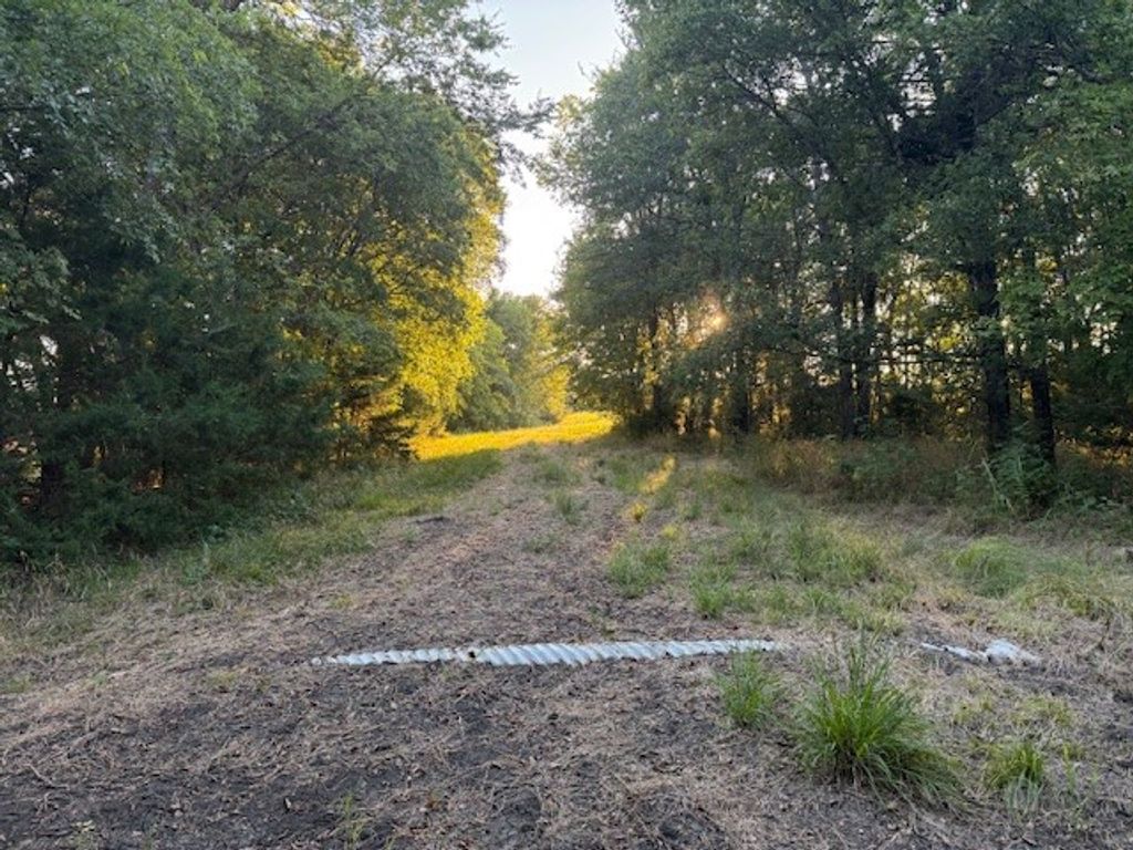 TBD CR 1150, Lake Creek, TX 75450