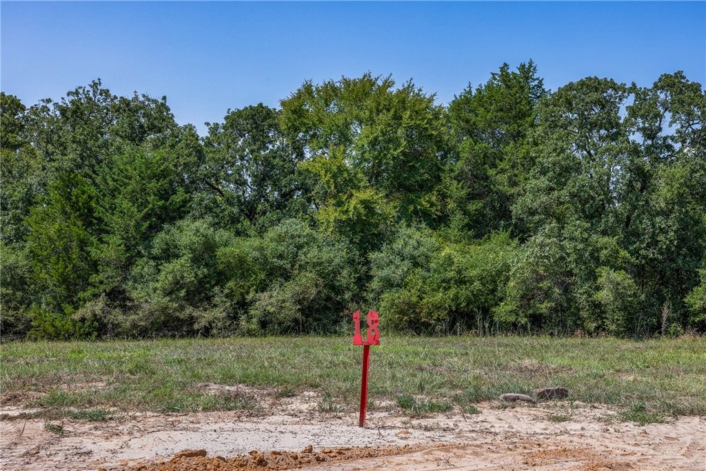 Lot #18 Sunny James Lane, Franklin, TX 77856 — photo 3