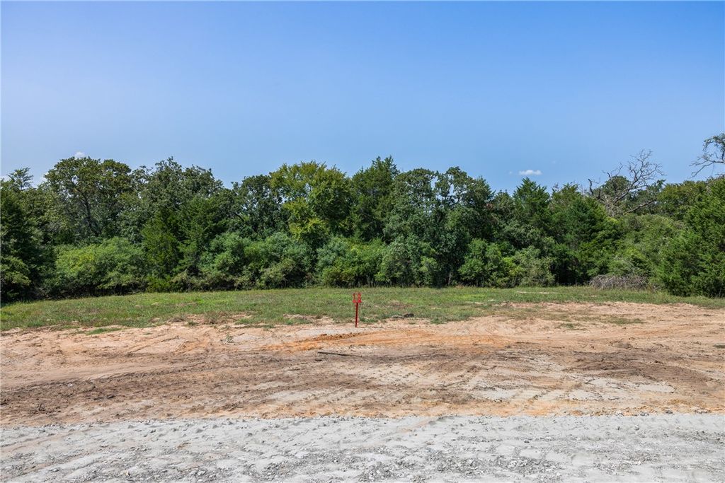 Lot #18 Sunny James Lane, Franklin, TX 77856 — photo 4