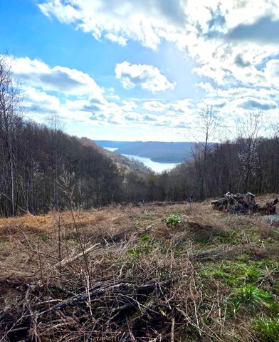 109 Deer Path Ct, Smithville, TN 37166