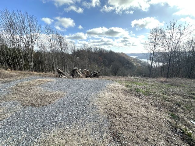 109 Deer Path Ct, Smithville, TN 37166