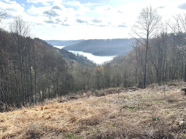 109 Deer Path Ct, Smithville, TN 37166