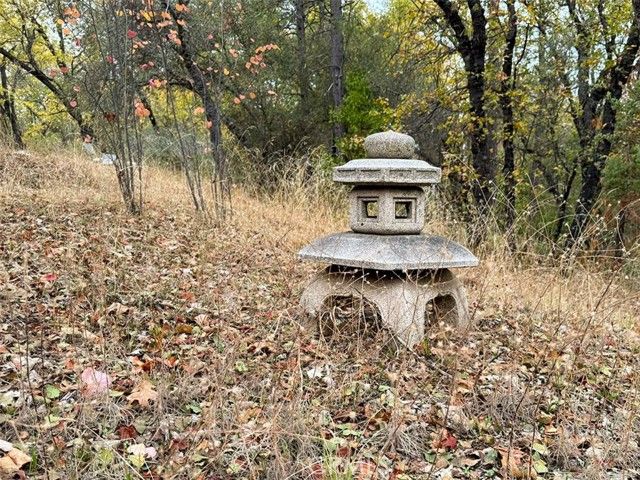 13376 Rue Montaigne, Oregon House, CA 95962