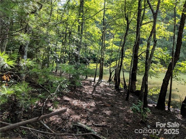 3100 E Moonlight Place 42, Morganton, NC 28655