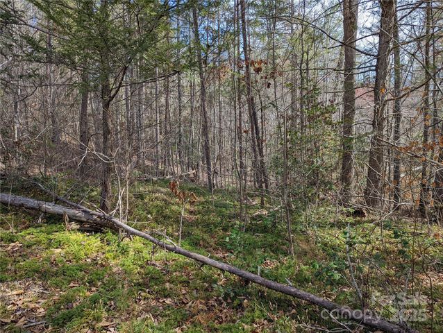 3100 E Moonlight Place 42, Morganton, NC 28655