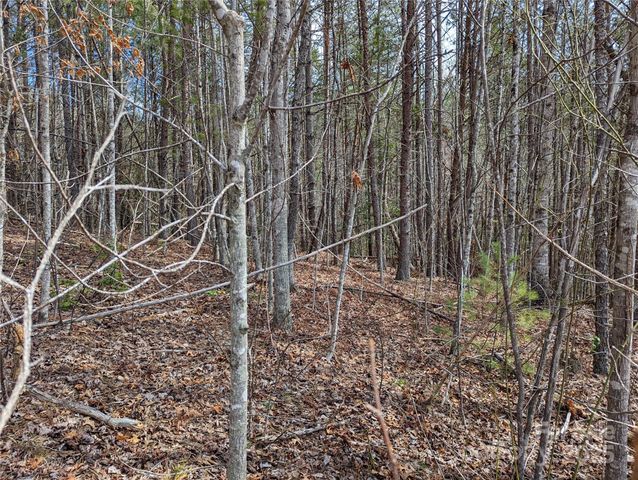 3100 E Moonlight Place 42, Morganton, NC 28655