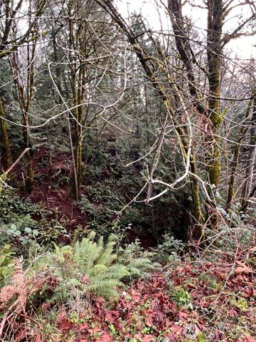 453 E Victor Road, Belfair, WA 98528