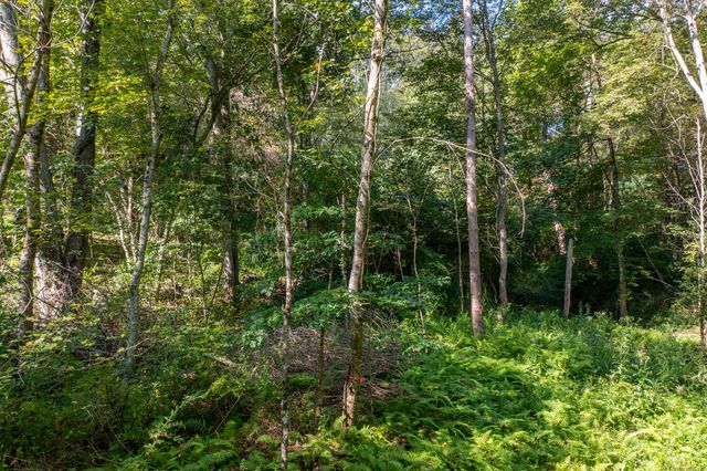 Bennett Pond Road, Canterbury, CT 06331