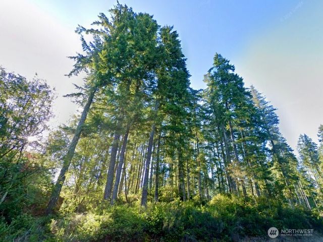 5011 E Rasor Road, Belfair, WA 98528