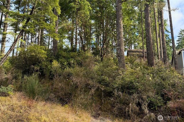 5011 E Rasor Road, Belfair, WA 98528