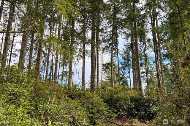 5011 E Rasor Road, Belfair, WA 98528