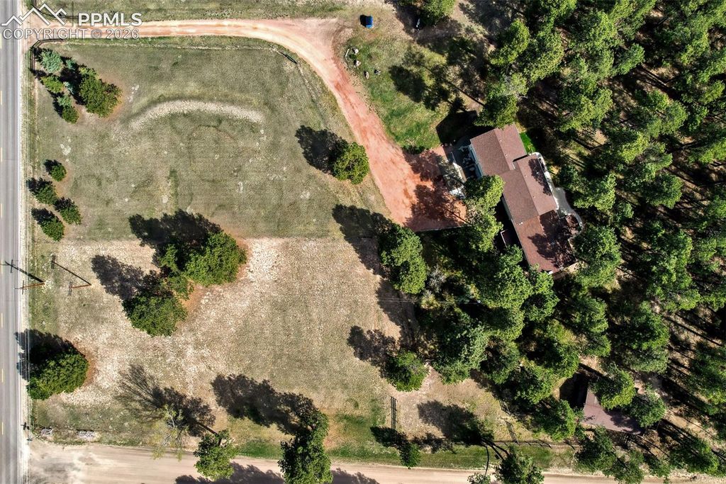 16265 Roller Coaster Road, Colorado Springs, CO 80921 — photo 4