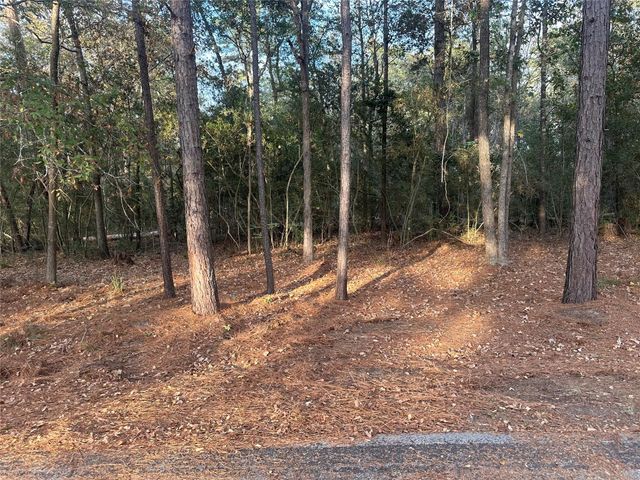 TBD Wood Forest Lane, Huntsville, TX 77340