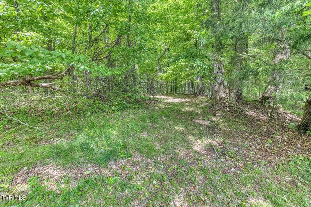 5 Bingham Court, Johnson City, TN 37604