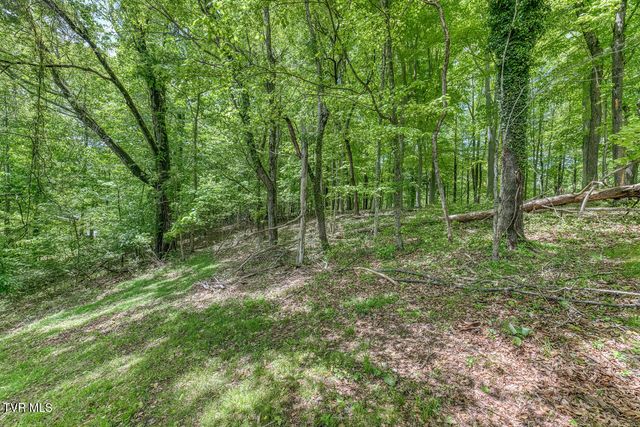 5 Bingham Court, Johnson City, TN 37604