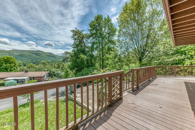 5 Bingham Court, Johnson City, TN 37604