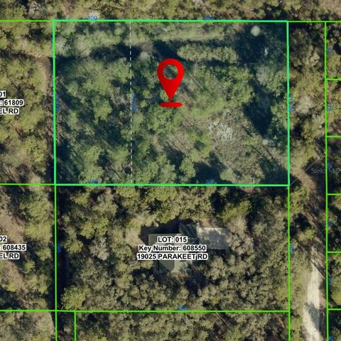 19037 PARAKEET ROAD, Brooksville, FL 34614