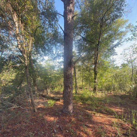 19037 PARAKEET ROAD, Brooksville, FL 34614